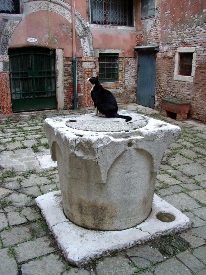 Apartment Essence Of Venice Exterior photo